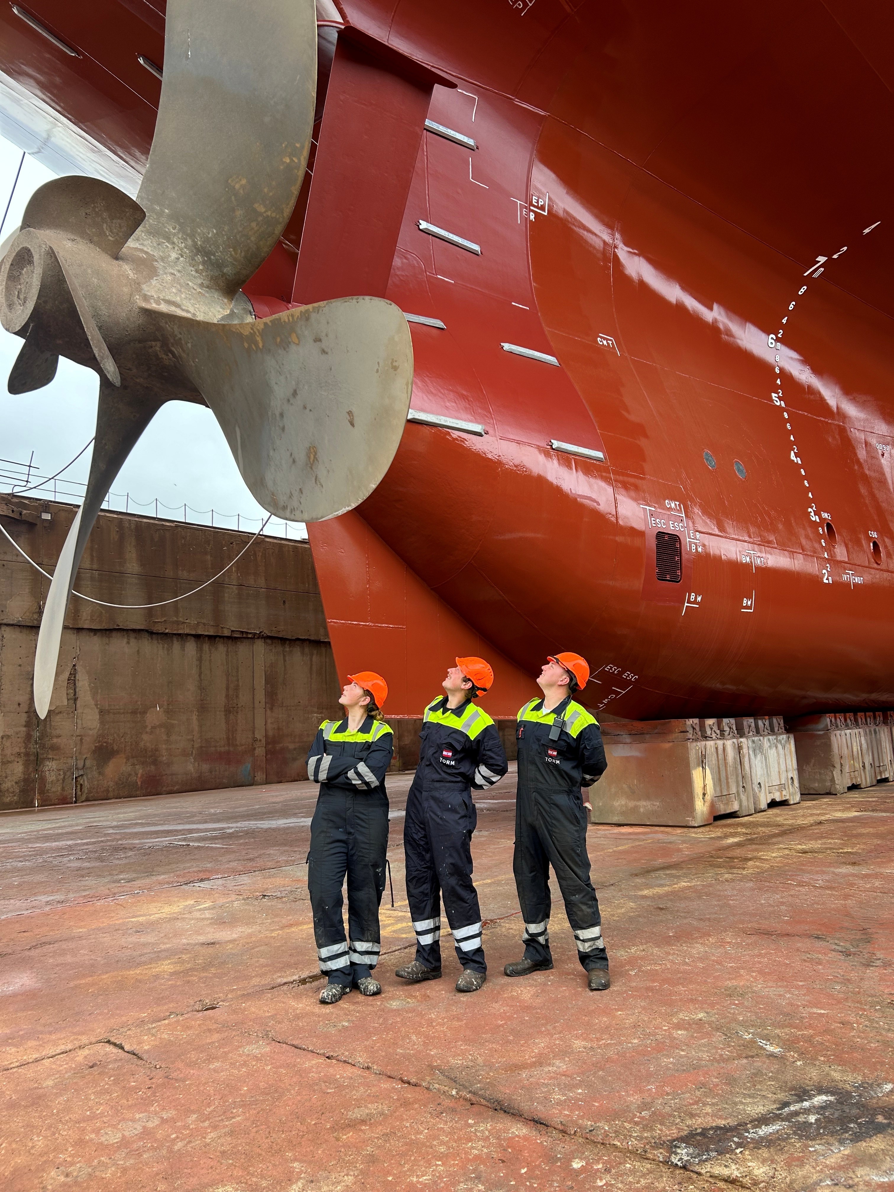 Små men vigtige. Fayard - Torm Strong.jpg